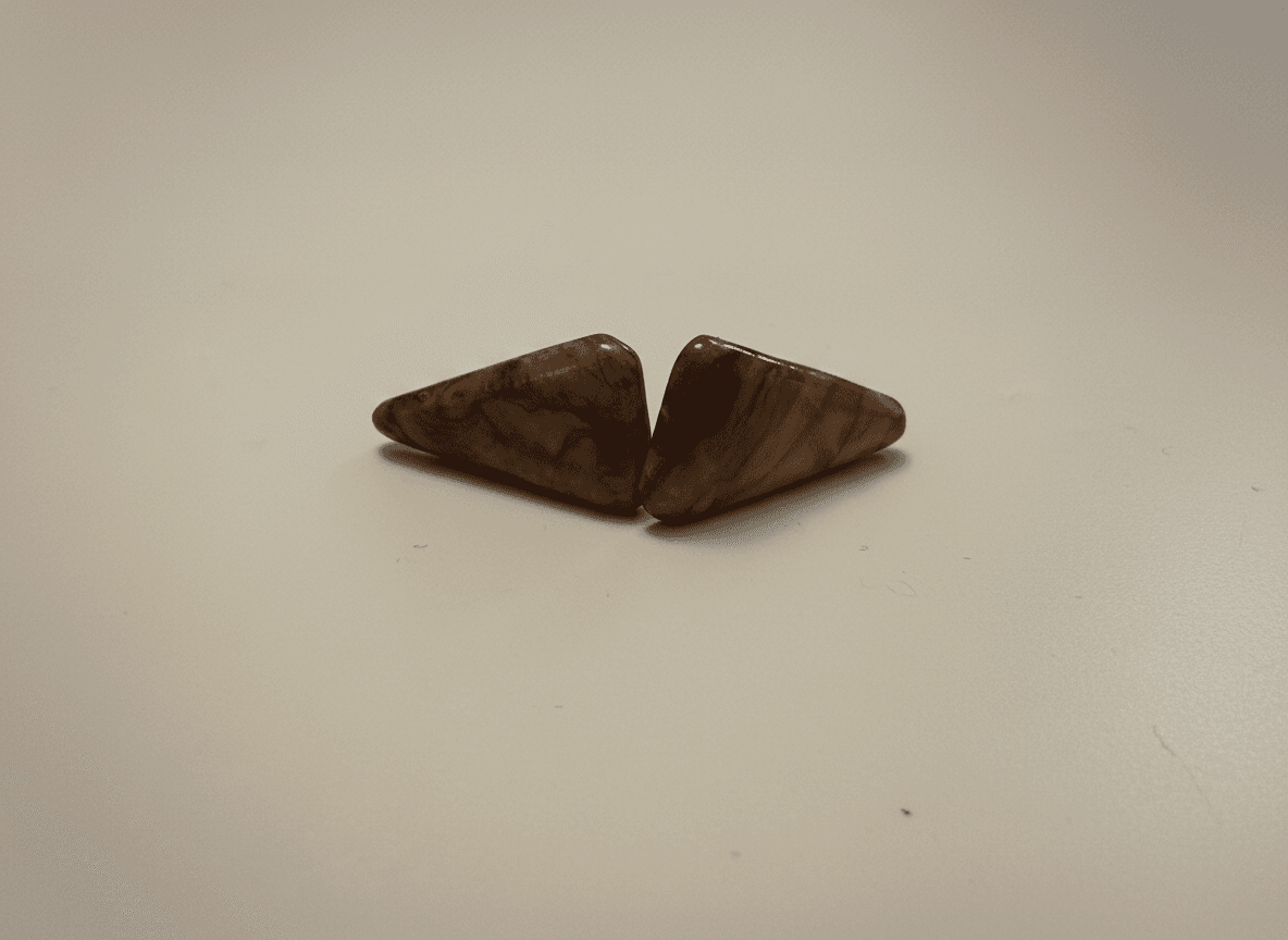 Cercei Con Măslin Închis